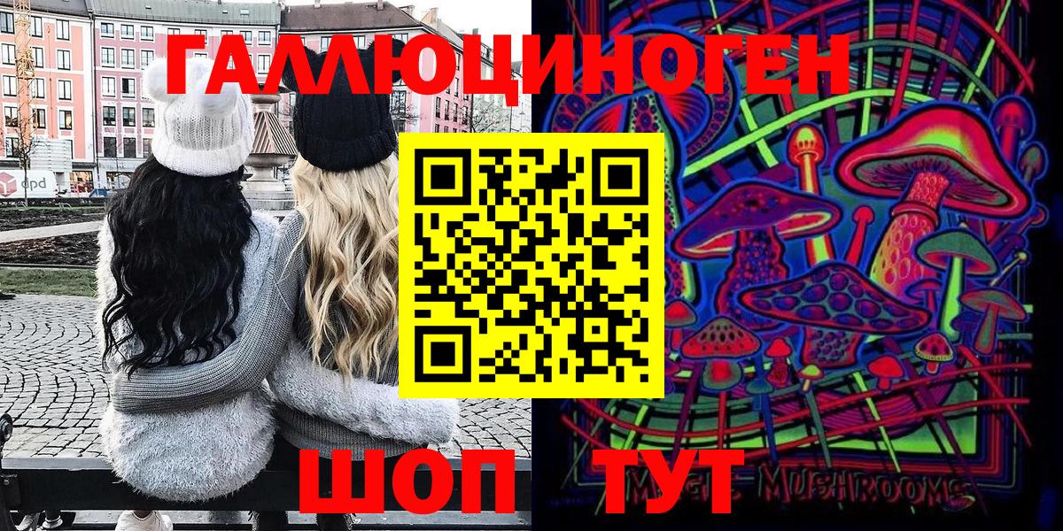 Галлюциногенные грибы Psilocybe Канаш