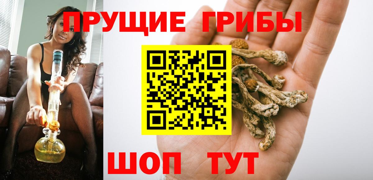 Канаш  Псилоцибиновые грибы GOLDEN TEACHER  Вход с VPN  закладка  Псилоцибиновые грибы GOLDEN TEACHER 